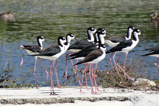 Tour image 6