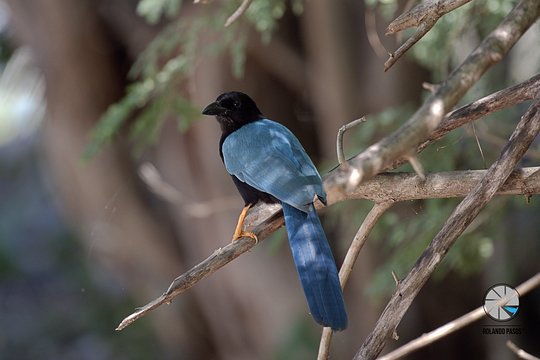 Tour image 11