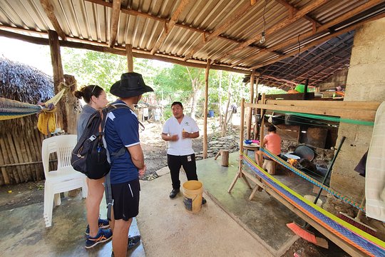 Tour image 4