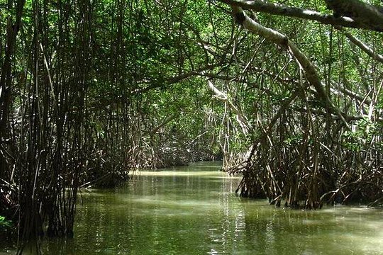 Tour image 7