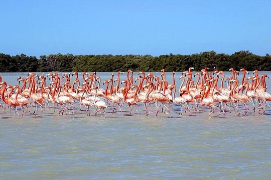 Tour image 5