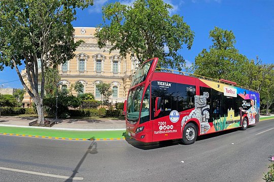 Tour image 4