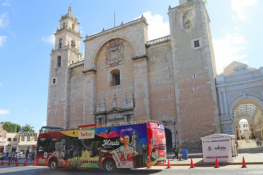 Tour image 10