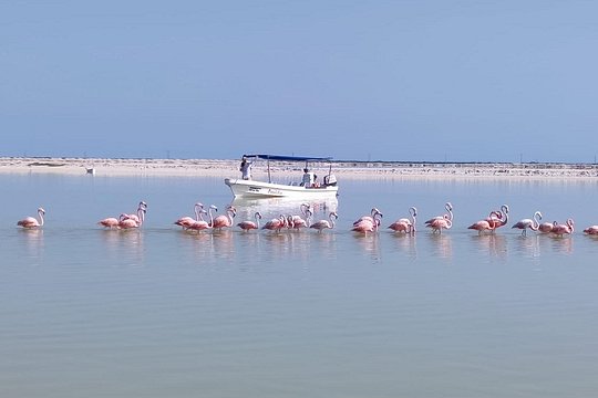 Tour image 6