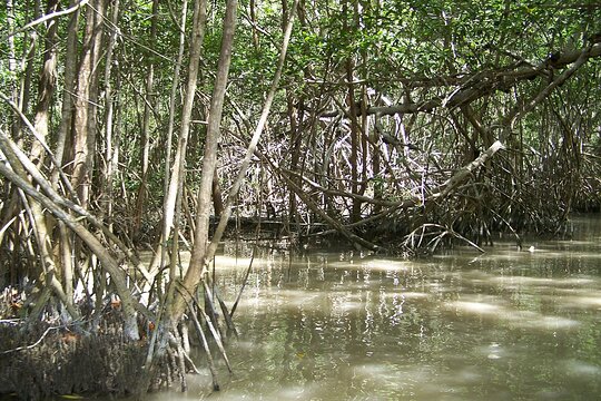 Tour image 11