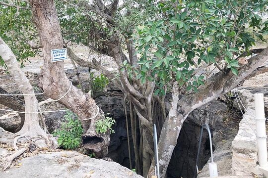 Tour image 4